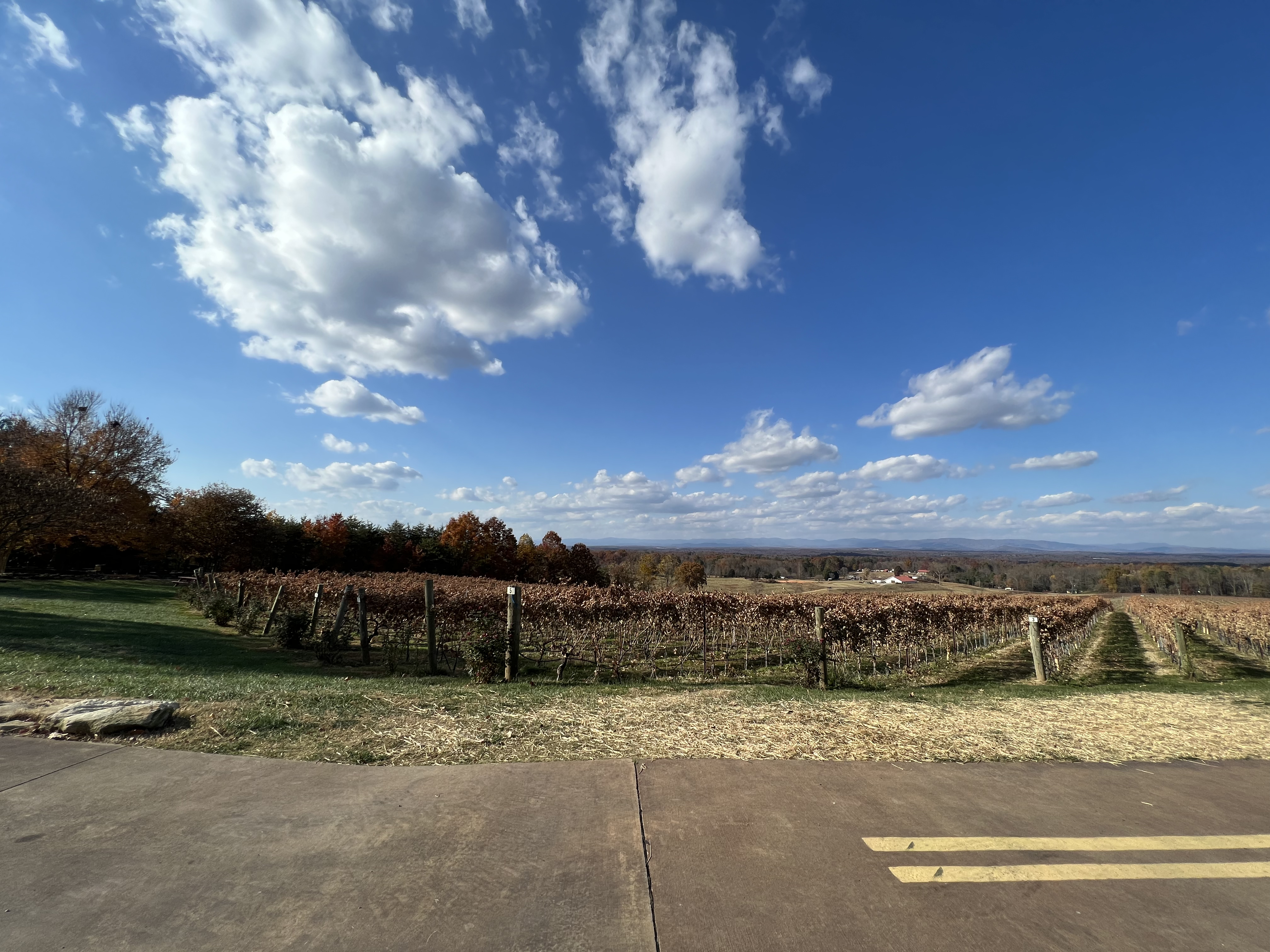 ./2023/13 - Elkin/IMG_0518.jpg